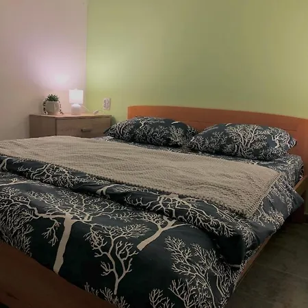 公寓 Golubovic Apartman Crni Vrh