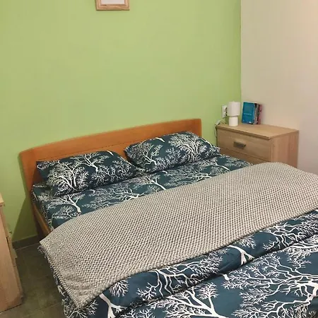 公寓 Golubovic Apartman *